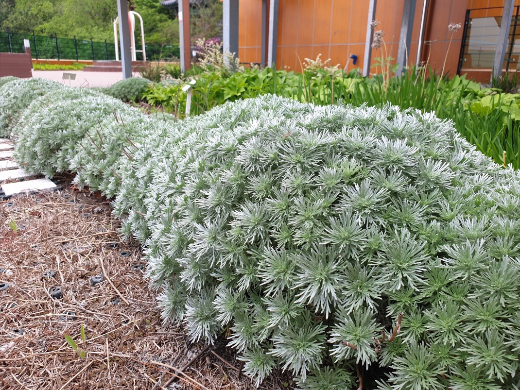 8e7ee187be9160982fbda5802a7b498f_1557882