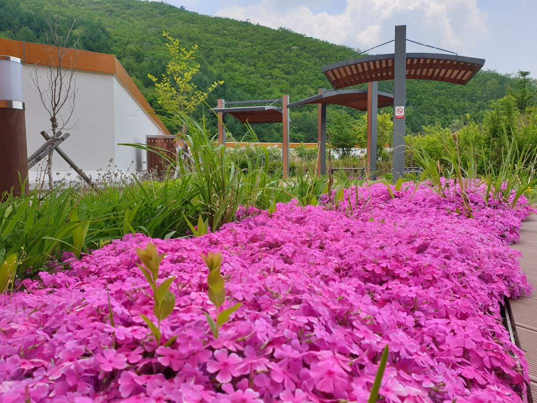 8e7ee187be9160982fbda5802a7b498f_1557882