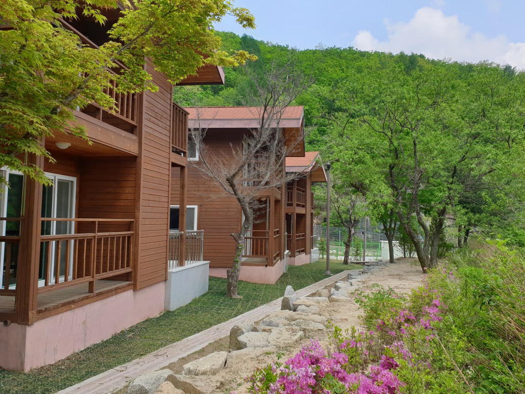 8e7ee187be9160982fbda5802a7b498f_1557882