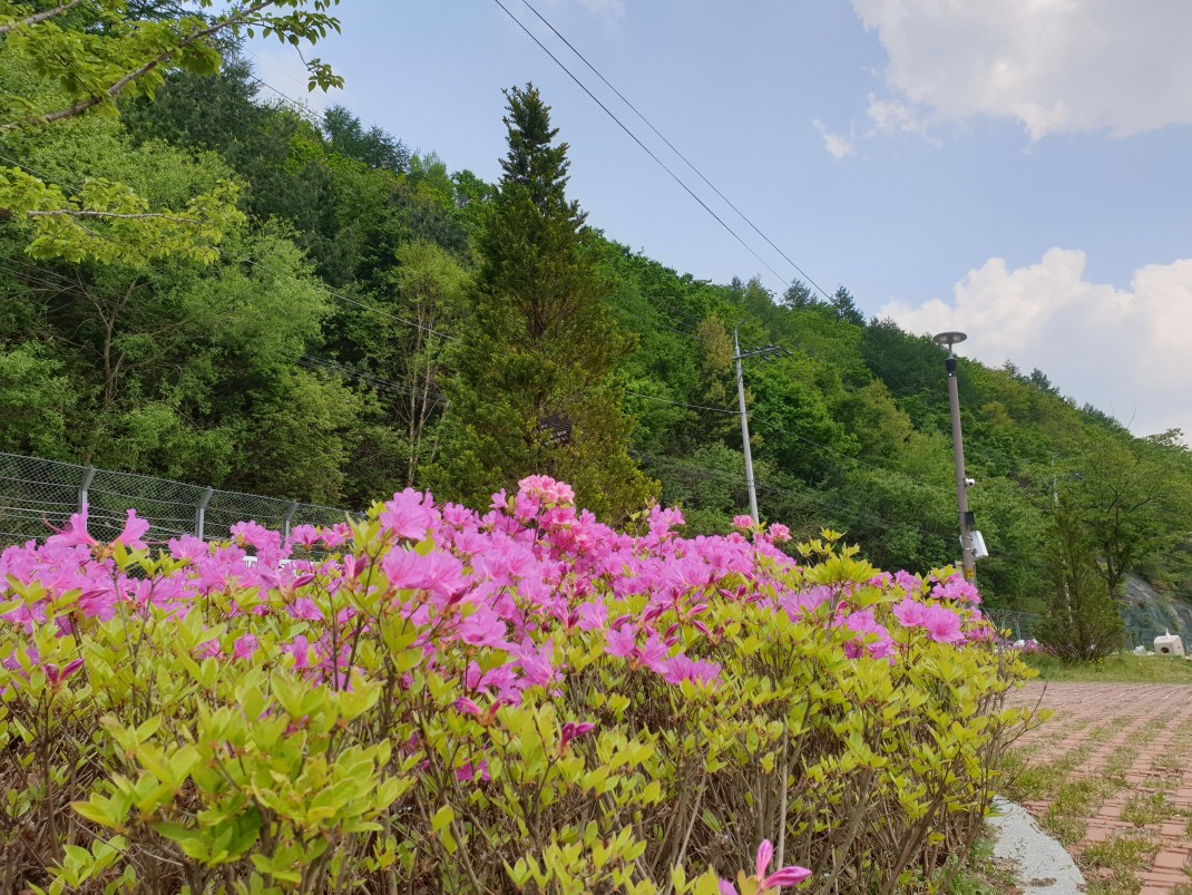 8e7ee187be9160982fbda5802a7b498f_1557882