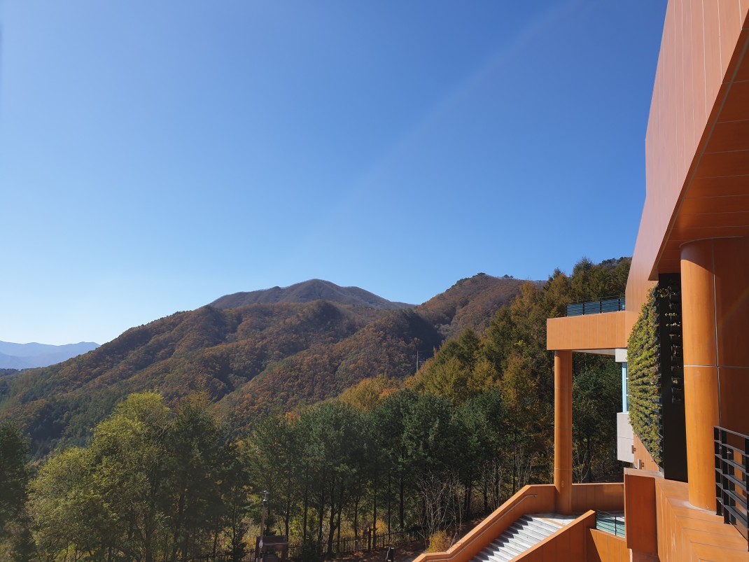 c30fdc3f5a448081ebcf4a3bb414e104_1572484